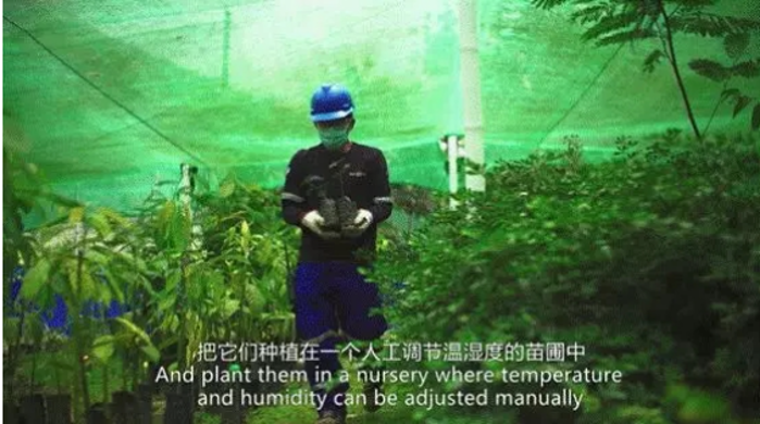 截圖_20211213142939 截圖_20211213142939